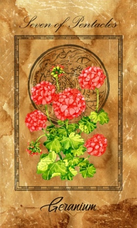 Seven of pentacles. Minor Arcana tarot card with Geranium and magic seal. Vintage deck Enchanted Flowers. Hand drawn illustration with botanical symbols. Gothic, occult and esoteric background