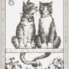 钢笔画猫咪塔罗牌 I Gatti Originali Tarot (Cats Tarot) 