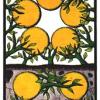 nine-pentacles