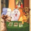 狗狗心灵塔罗牌 The Original Dog Tarot Divine the Canine Mind